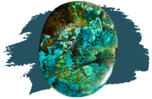 chrysocolle-belle-de-lune