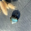 collier-labradorite-belle-de-lune-_3751 collier labradorite belle de lune