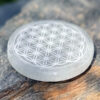 fleur-de-vie-selenite-belle-de-lune-5869 fleur de vie selenite belle de lune