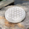 fleur-de-vie-selenite-belle-de-lune-5870 fleur de vie selenite belle de lune
