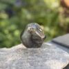 IMG_3040 Galet en labradorite