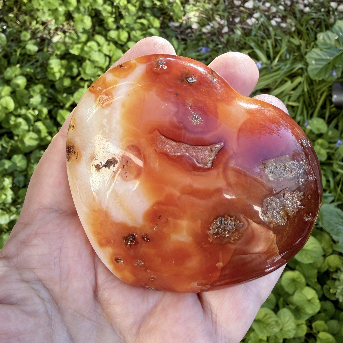 Coeur en cornaline naturelle de Madagascar tenu dans une main, vue de profil sur fond de jardin verdoyant. Les reflets brillants de la surface polie et les variations de couleur orange et rouge sang de la pierre sont mis en valeur. Objet lithothérapie pour retrouver énergie et créativité.