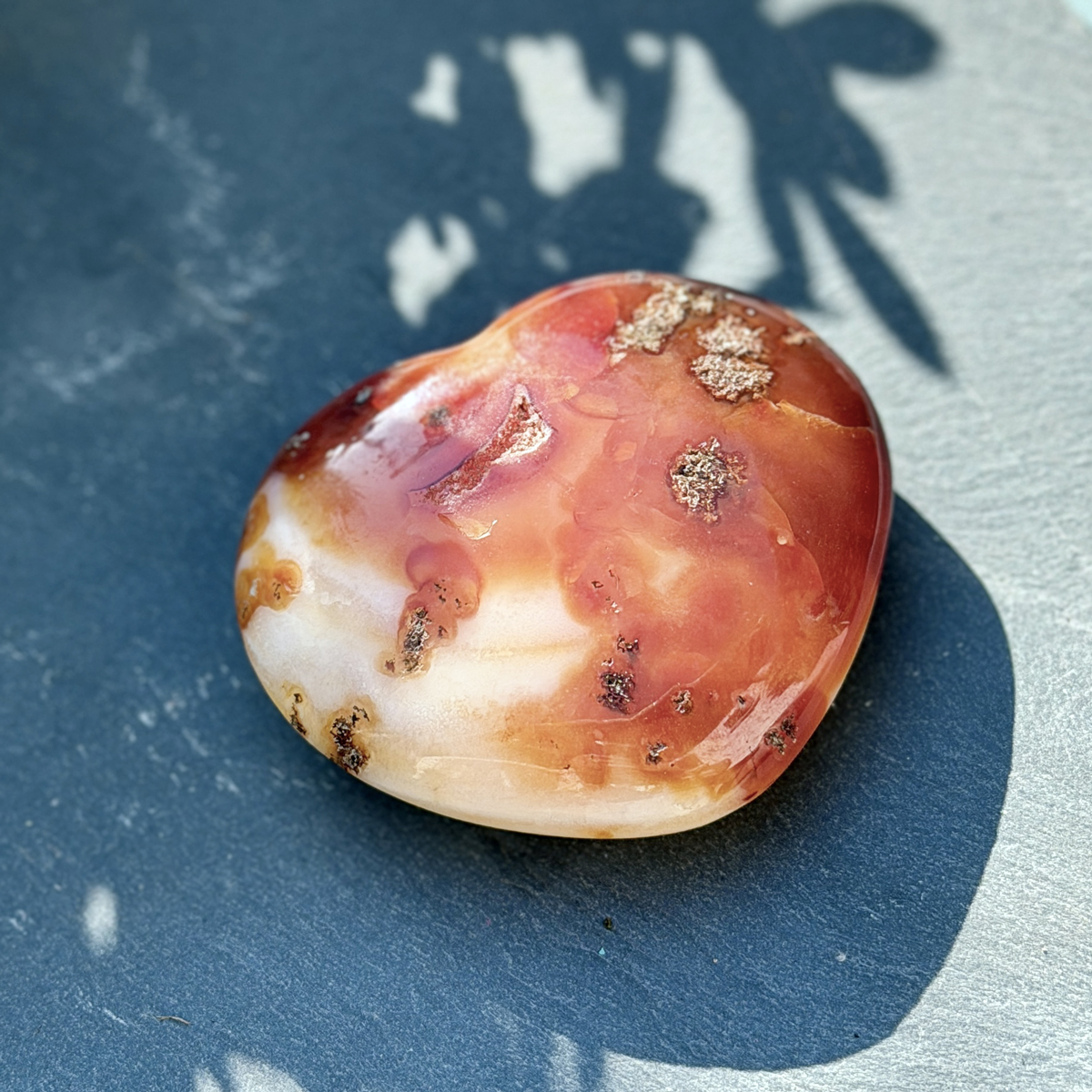 Coeur en cornaline naturelle poli posé sur fond bleu ardoise avec une ombre de feuillage projetée. Les nuances orange, blanc et rouge de la pierre ressortent en pleine lumière solaire. Pierre de lithothérapie pour la confiance en soi et la protection émotionnelle.