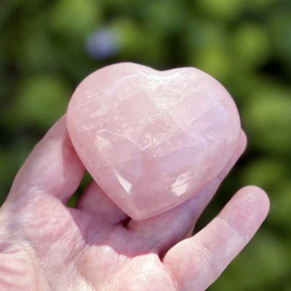 coeur-quartz-rose-lithotherapie-main-nature Coeur en quartz rose naturel tenu dans une main ouverte, photographié en extérieur sur fond de végétation verte. Pierre polie aux reflets soyeux, idéale comme cadeau lithothérapie pour favoriser l'amour de soi et l'équilibre émotionnel.