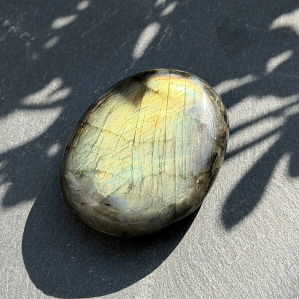 galet-labradorite-arc-en-ciel-bleu-orange-fond-bleu-dessus Vue du dessus d'un galet en labradorite naturelle arc-en-ciel, posé sur fond bleu ardoise avec ombre de feuillage. Les reflets bleu vif et orange caractéristiques sont visibles simultanément sur la surface polie. Pierre rare lithothérapie, cadeau bien-être original.