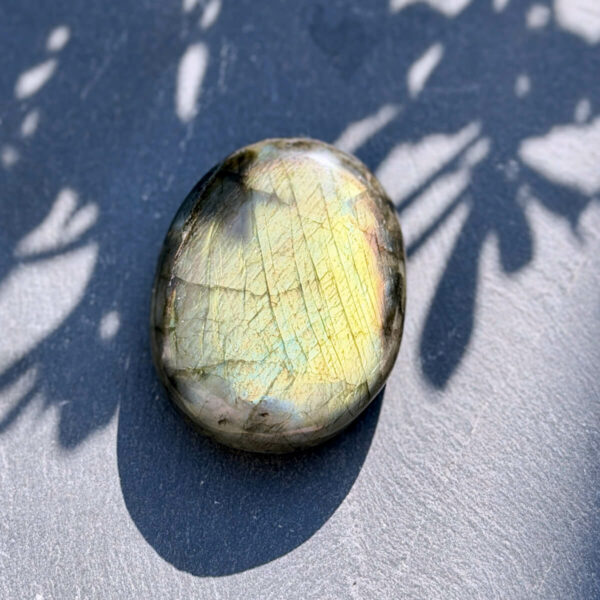 galet-labradorite-arc-en-ciel-face-jaune-vert-fond-bleu-ombre Galet en labradorite naturelle multicolore photographié de face sur fond bleu ardoise en lumière solaire, avec jeu d'ombres florales. Les reflets jaune-vert et turquoise couvrent toute la surface polie. Pierre de protection et d'intuition en lithothérapie. Belle de Lune Bijoux.