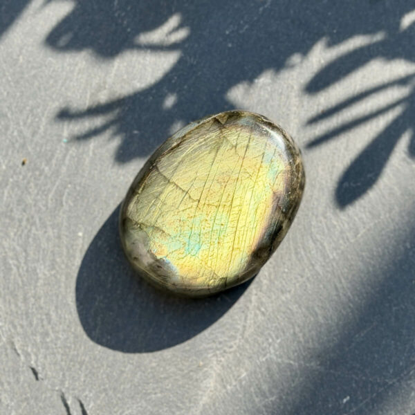 galet-labradorite-main-multicolore-reflets-or-bleu-nature Galet en labradorite naturelle arc-en-ciel tenu dans une main ouverte, photographié en extérieur sur fond de végétation verte floue. Les reflets or, bleu et vert de la labradorescence sont visibles sur toute la face. Pierre de transformation et de clarté intérieure. Belle de Lune Bijoux.