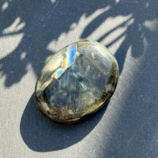 galet-labradorite-main-reflets-jaune-vert-bleu-jardin Galet en labradorite naturelle de Madagascar tenu dans une main en extérieur, avec une labradorescence jaune-vert et bleue exceptionnelle visible sur la surface polie. Pierre lithothérapie pour les personnes sensibles et empathiques. Cadeau bien-être femme. Belle de Lune Bijoux.