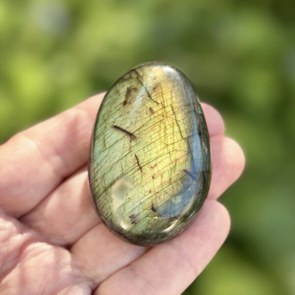 galet-labradorite-main-reflets-or-vert-fond-nature Galet en labradorite naturelle tenu dans une main ouverte, photographié en extérieur sur fond de végétation verte floue. Les reflets dorés et verts intenses de la labradorescence illuminent la surface polie. Pierre de protection énergétique pour personnes empathiques. Belle de Lune Bijoux.