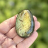 galet-labradorite-main-tons-or-bleu-vert-jardin Galet en labradorite naturelle de Madagascar tenu dans une main, avec des reflets or, vert et bleu visibles sur toute la surface. Photographié en extérieur sur fond de jardin. Pierre de l'intuition et de l'équilibre intérieur. Cadeau bien-être original. Belle de Lune Bijoux.