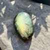galet-labradorite-polie-profil-roche-granit-plein-soleil Vue de profil d'un galet en labradorite naturelle polie posé à l'angle d'une roche granitique en pleine lumière solaire. La surface bombée et les reflets vert et or de la pierre sont mis en valeur. Pierre de lithothérapie pour accompagner les transformations de vie.
